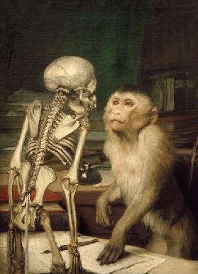 Affe vor Skelett 1900