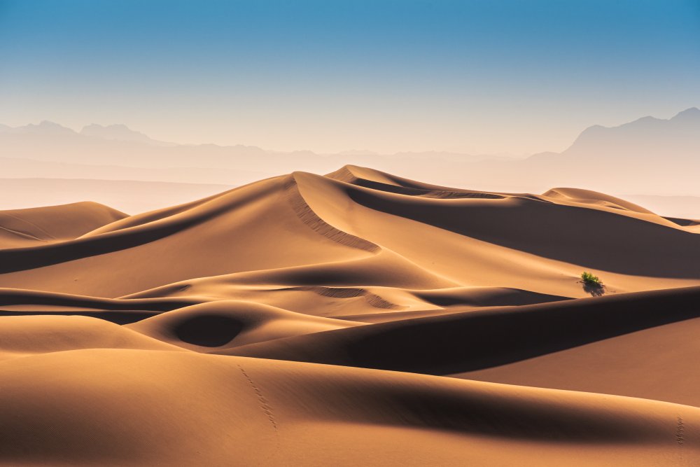 Karakal-Wüste von Hamed Qane