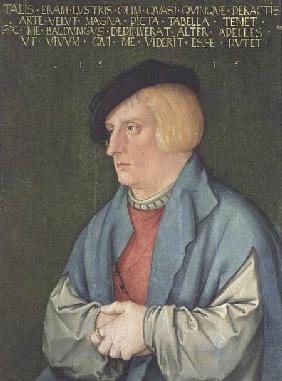 Portrait of a young man 1515