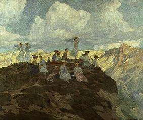 Bergvögel 1906