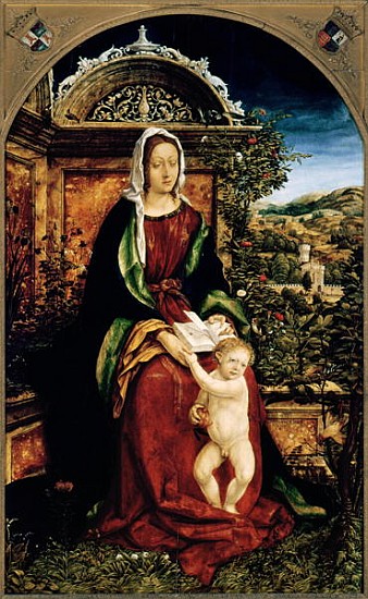The Virgin and Child von Hans Burgkmair