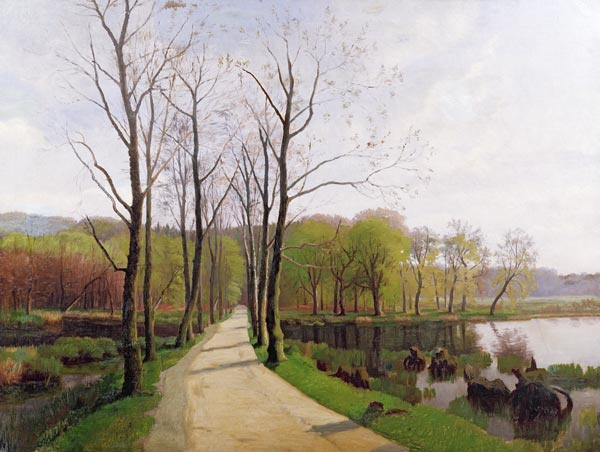 Spring Landscape von Hans Ole Brasen