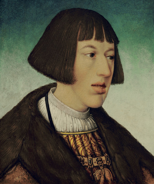 Kaiser Ferdinand I von Hans or Johan Maler