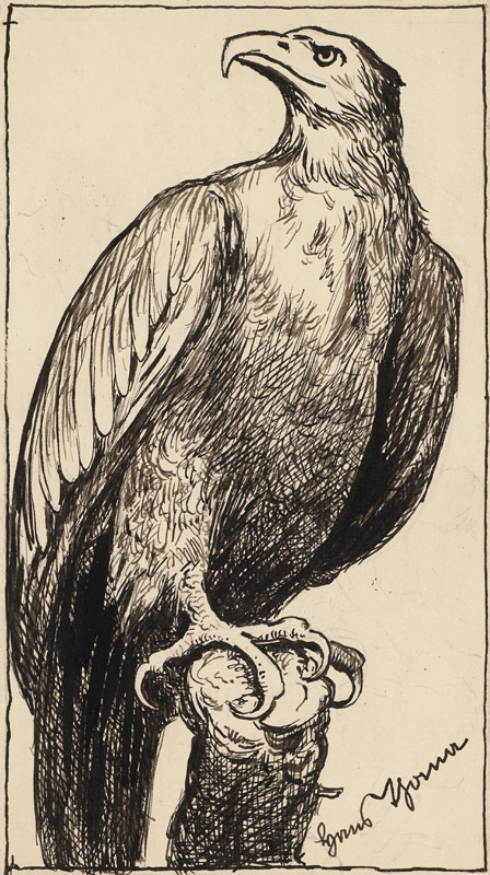 Zeichnung zur Fibel: Adler von Hans Thoma