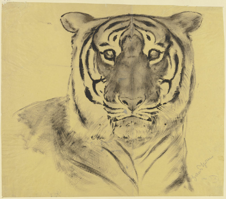 Tiger von Hans Thoma