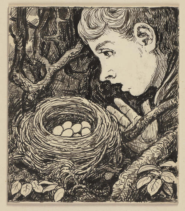 Zeichnung zur Fibel: Nest von Hans Thoma