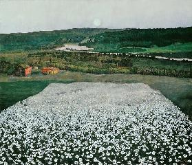 Blumenwiese im Norden 1905