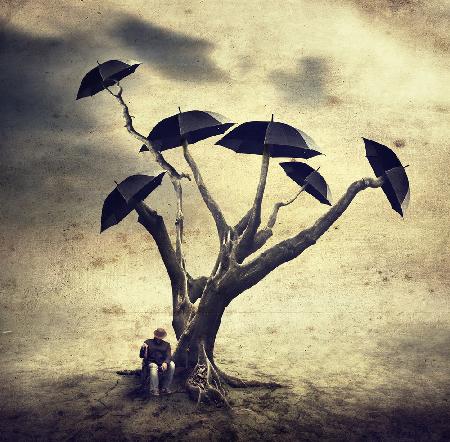 Wartender Mann und der Regenschirmbaum