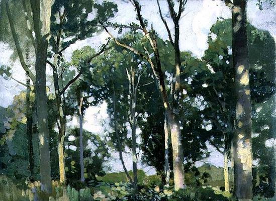 Trees in sunlight (panel) von Harry Watson