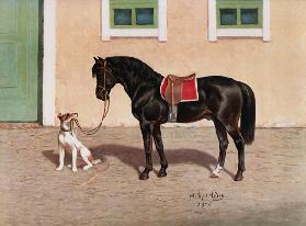 Pferd. 1920