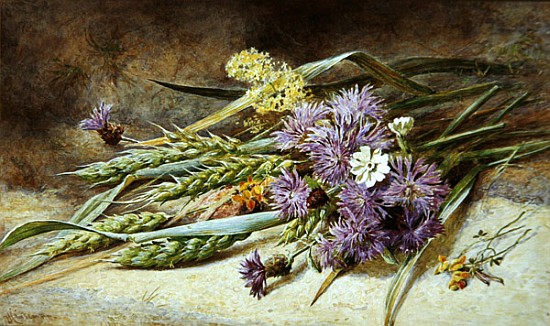 Green Wheat and Wild Flowers von Helen Cordelia Coleman Angell