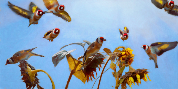 A Charm of Goldfinches von Helen White