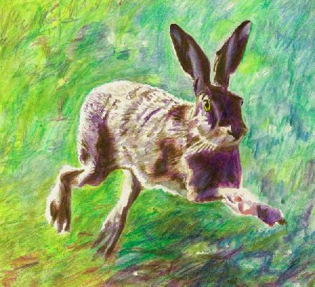 Joyful hare 2011