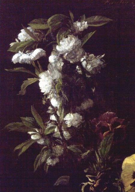 Pansies and Blossom von Henri Fantin-Latour
