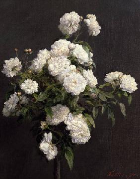 White Roses 1870