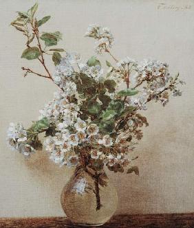 Birnenblüte 1882