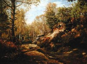 Pines and Birch Trees or, The Forest of Fontainebleau c.1855-57