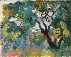 Landschaft bei Saint-Tropez 1905