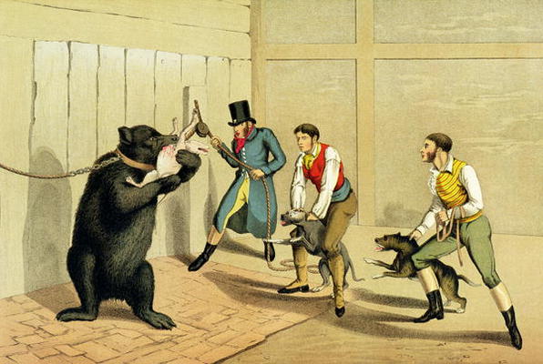 'Bear Baiting', pub. by Thomas McLean, 1820, (sporting print) von Henry Thomas Alken