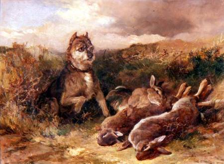 A West Country Terrier with Game von Heywood Hardy