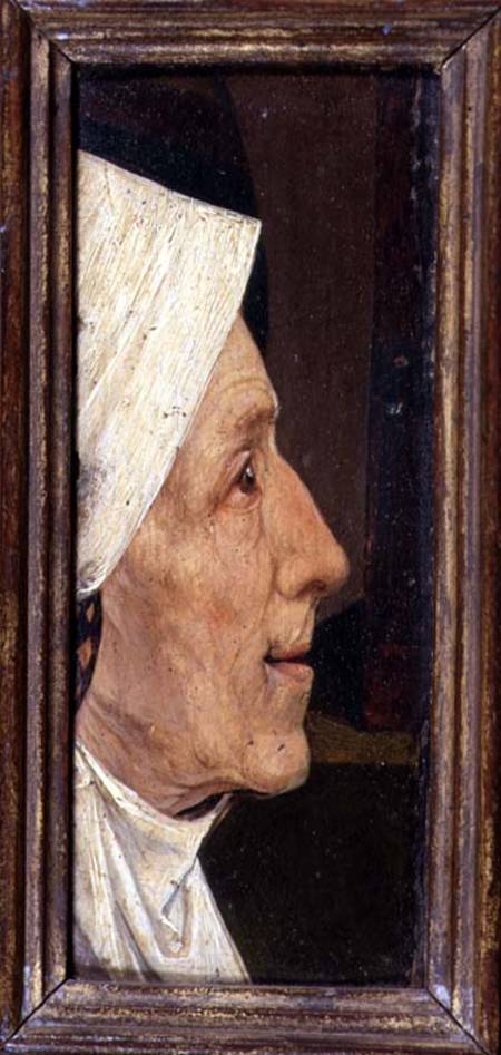 Head of an Old Woman von Hieronymus Bosch