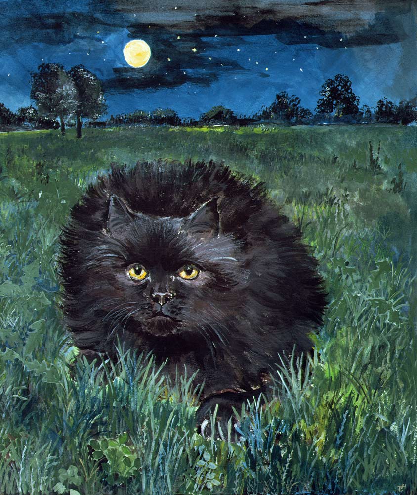 The Cat and the Moon von Hilary  Jones