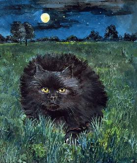 The Cat and the Moon