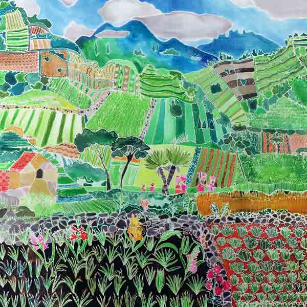Cabbages and Lilies, Solola Region, Guatemala, 1993 (coloured inks on silk)  von Hilary  Simon