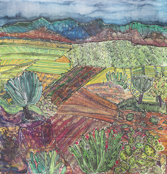 Oaxaca Landscape von Hilary  Simon