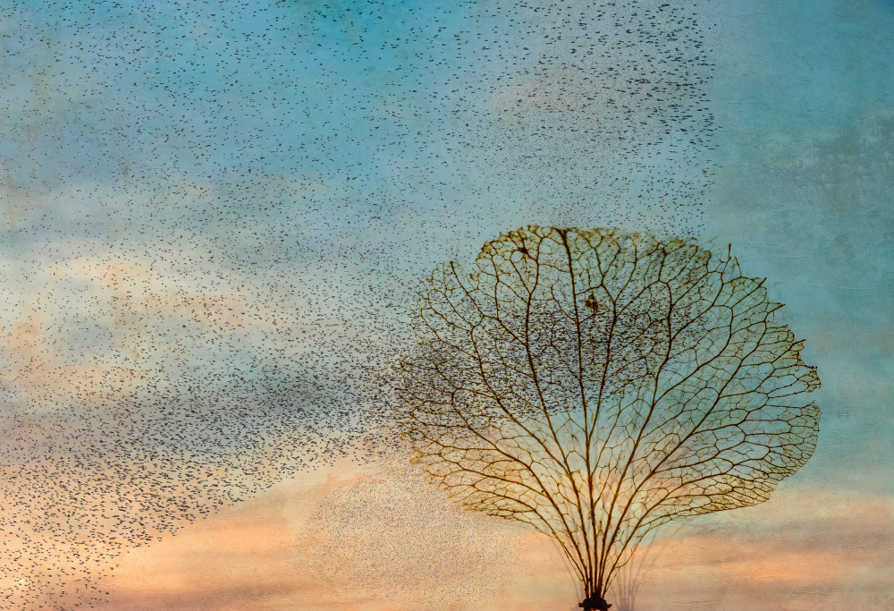 die Vögel und der Baum von Hilda van der Lee