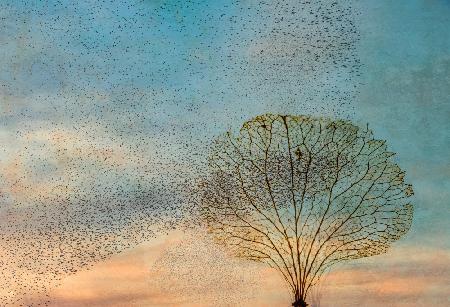 die Vögel und der Baum