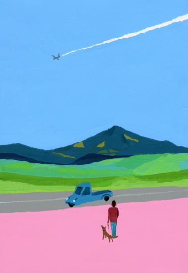 Airplane and pick up truck and dog and meadow 2015