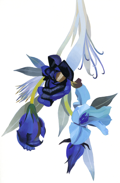 Flower drawn with blue tone von Hiroyuki Izutsu