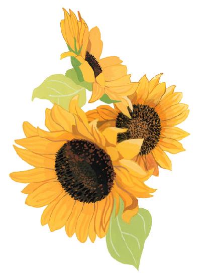 Sunflower 2003