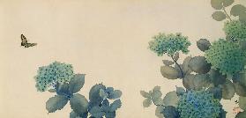 Hydrangeas (Hortensien) 1902