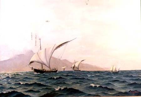 Portuguese Fishing Boats von Holger Lubbers