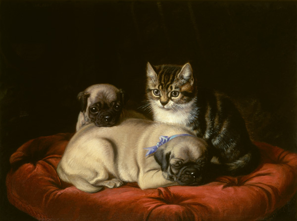 Zwei Möpse und ein Kätzchen von Horatio Henry Couldery