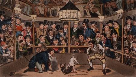 Tom and Jerry sporting their blunt on the phenomenon Monkey, Jacco Macacco, at the Westminster Pit, von I. Robert & George Cruikshank