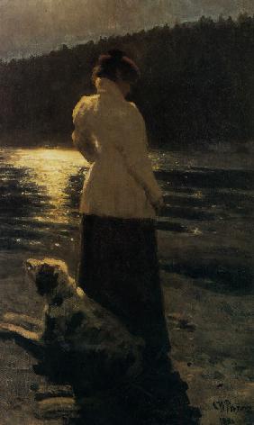 Mondhelle Nacht 1896