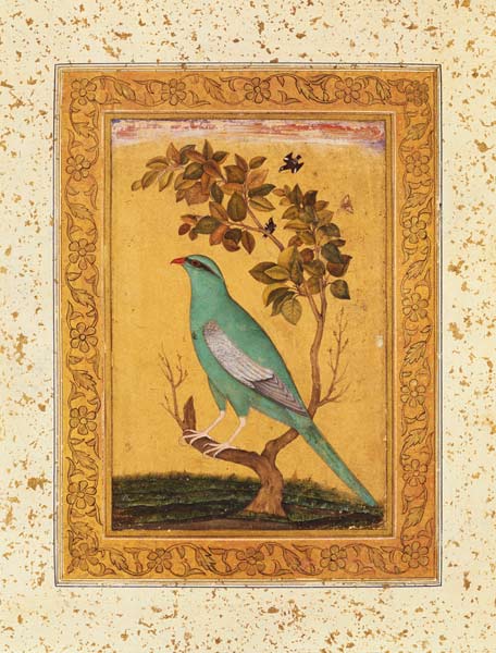 Green Bird, Mughal von Indian School