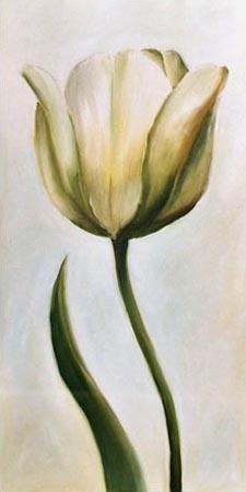 Weiße Tulpe 1 2001