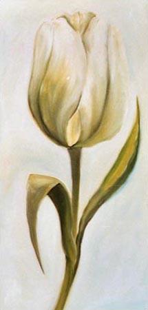 Weiße Tulpe 3 2001
