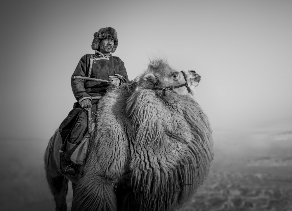 Bauer und sein Kamel von Irene Wu