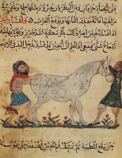 A veterinarian helping a mare to give birth, illustration from the 'Book of Farriery' by Ahmed ibn a von Islamic School
