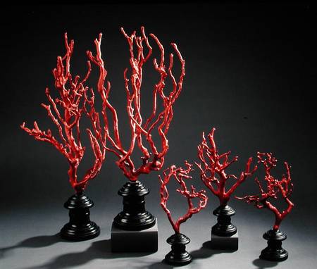 Set of wooden drawing models imitating coral, from the University of Florence von Scuola pittorica italiana
