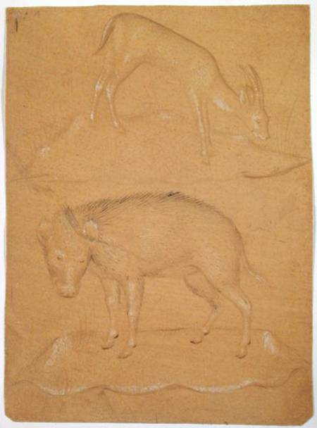 Study of a goat and a boar von Scuola pittorica italiana