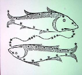 Pisces (the Fishes) an illustration from the 'Poeticon Astronomicon' by C.J. Hyginus, Venice 1485