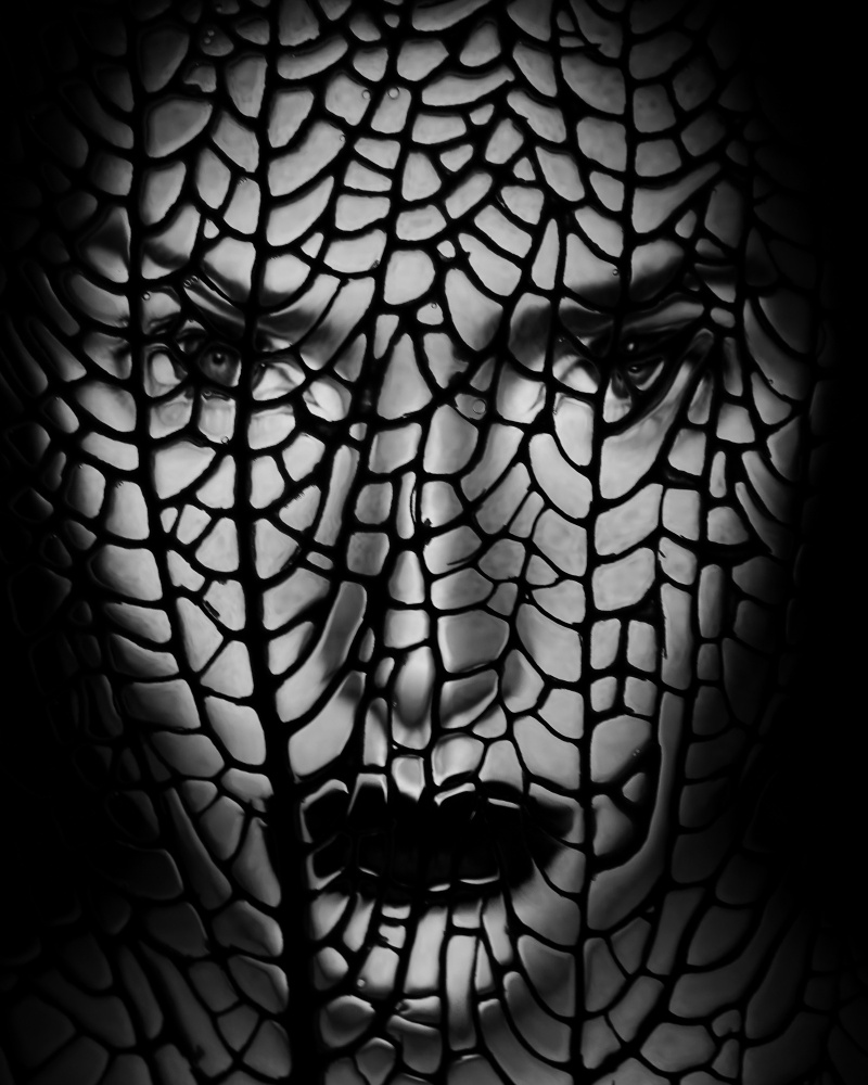 Gesicht abstrakt von Ivan Lesica