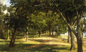 Wood Glade 1889