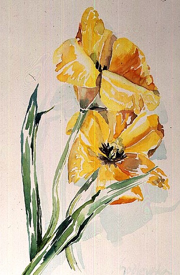 No.6 Yellow Tulip (w/c)  von Izabella  Godlewska de Aranda